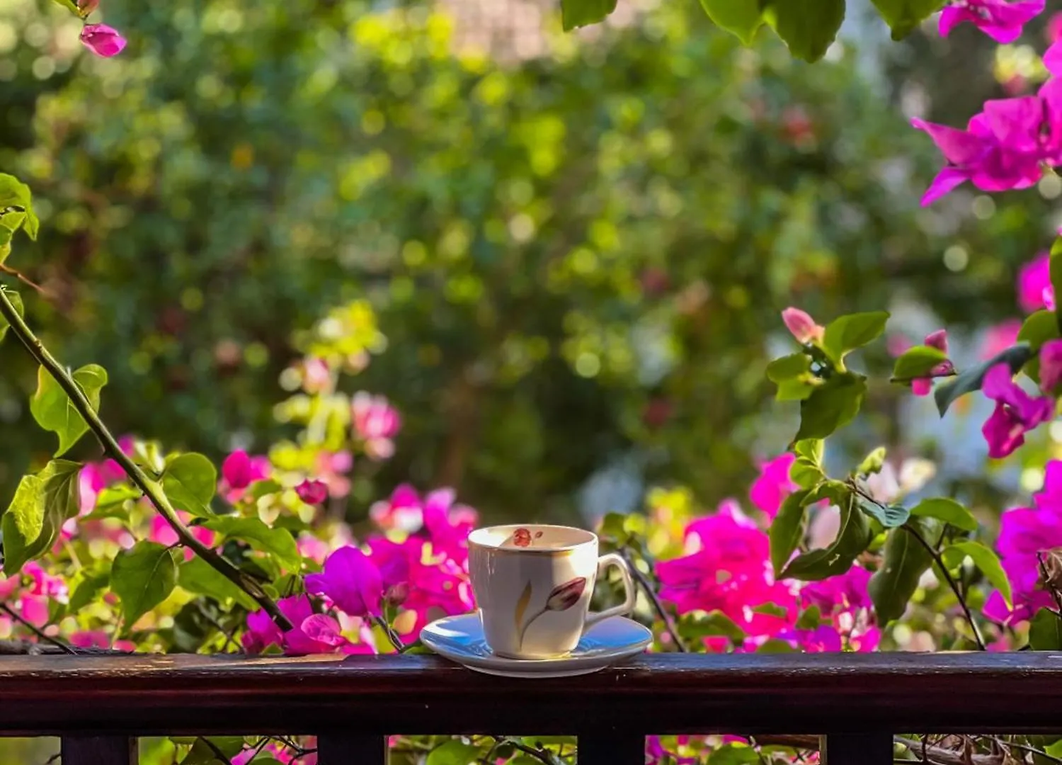 Liya Boutique Hotel & Suites Akyaka  Akyaka (Mugla)