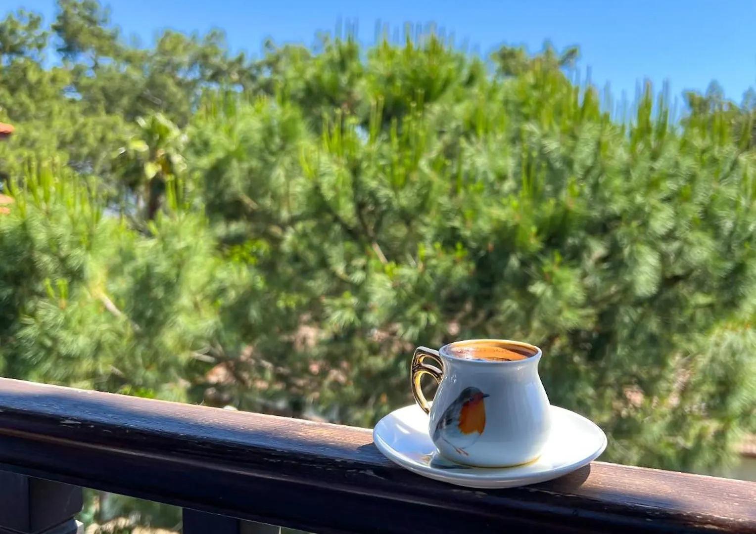 Apartment Liya Boutique Hotel & Suites Akyaka